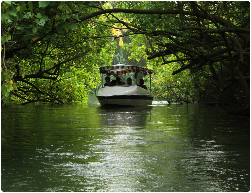 poovar 1